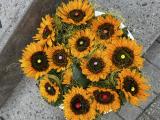 img_7785.jpeg